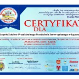Certyfikat-1-1