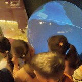 WhatsApp-Image-2023-10-19-at-13.38.48-2